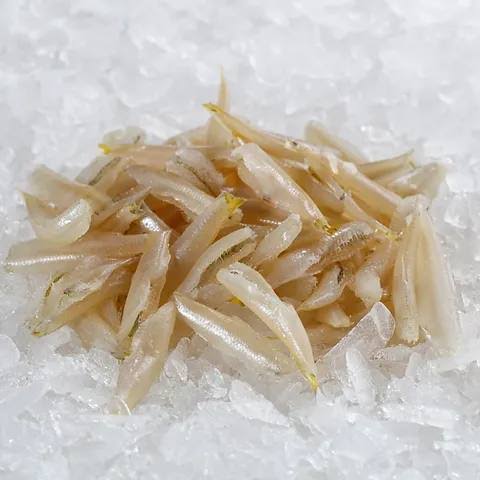 Anchovy 700g Small